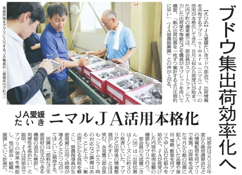 2026年8月31日 日本農業新聞 ブドウ集出荷効率化へ JA愛媛たいき ニマルJA活用本格化